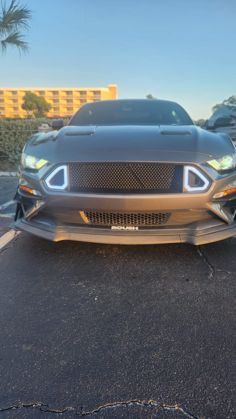 Customer photo review of Front Mesh Upper Grille W/ LED DRL Turn Signal Light For 2018-2021 Ford Mustang