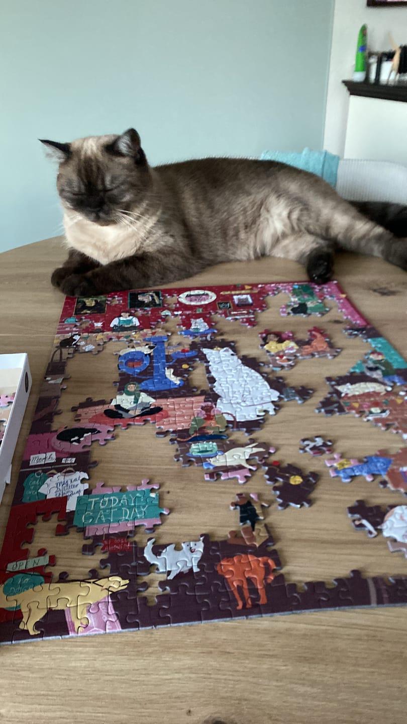 Customer photo review of Katzencafé Puzzle