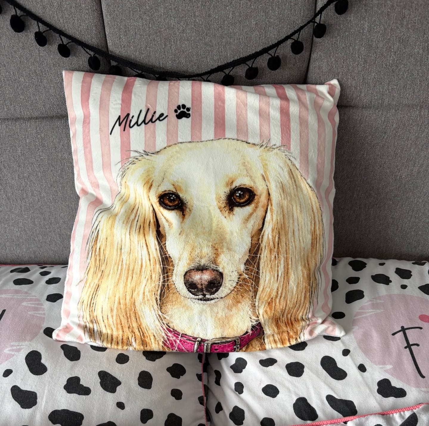 Customer photo review of Watercolour Striped Pet - Personalised Pillow