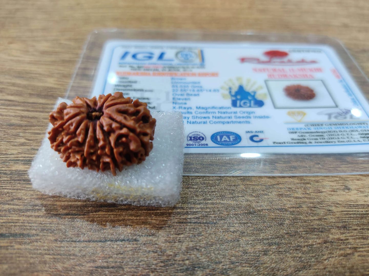 Customer photo review of Nepal Origin 11 Mukhi Rudraksha – 100% Natural & Certified