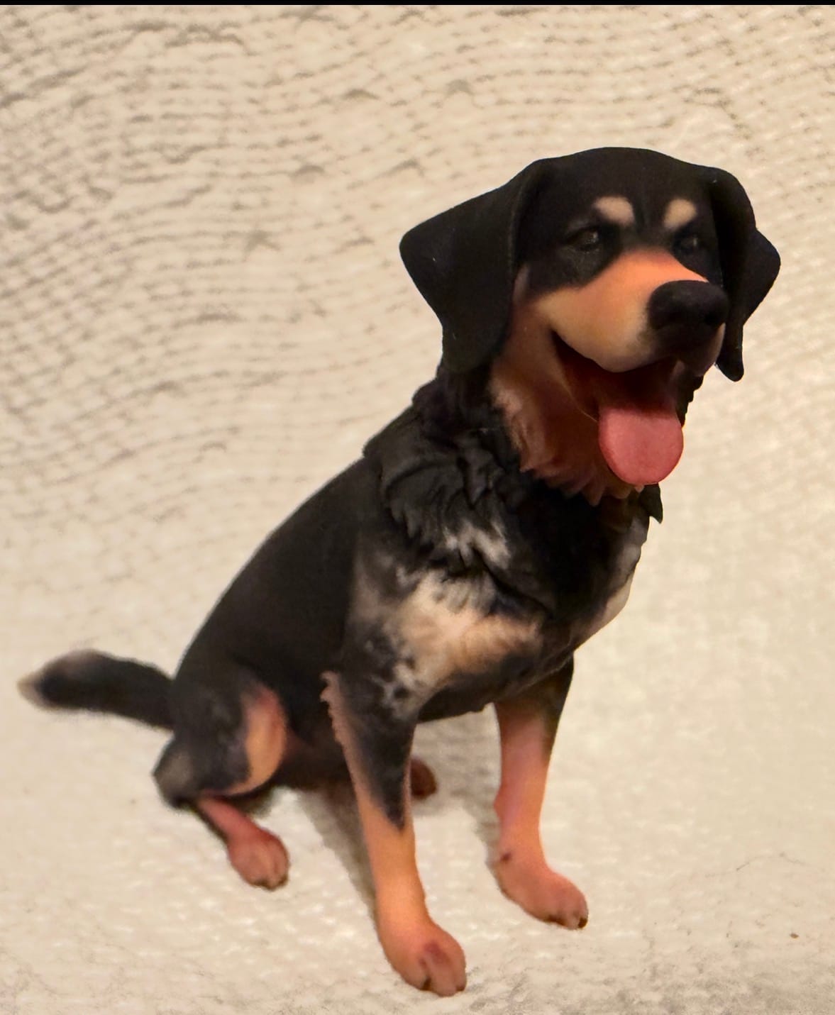 Customer photo review of Personalized Pet 3D Figurine from Photo