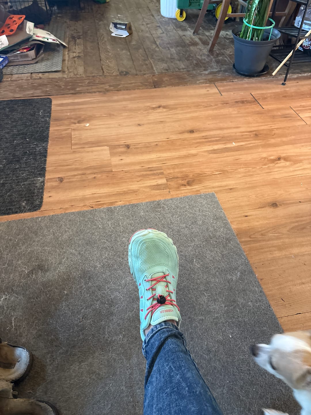 Customer photo review of WolfPaw - Barefoot Shoes