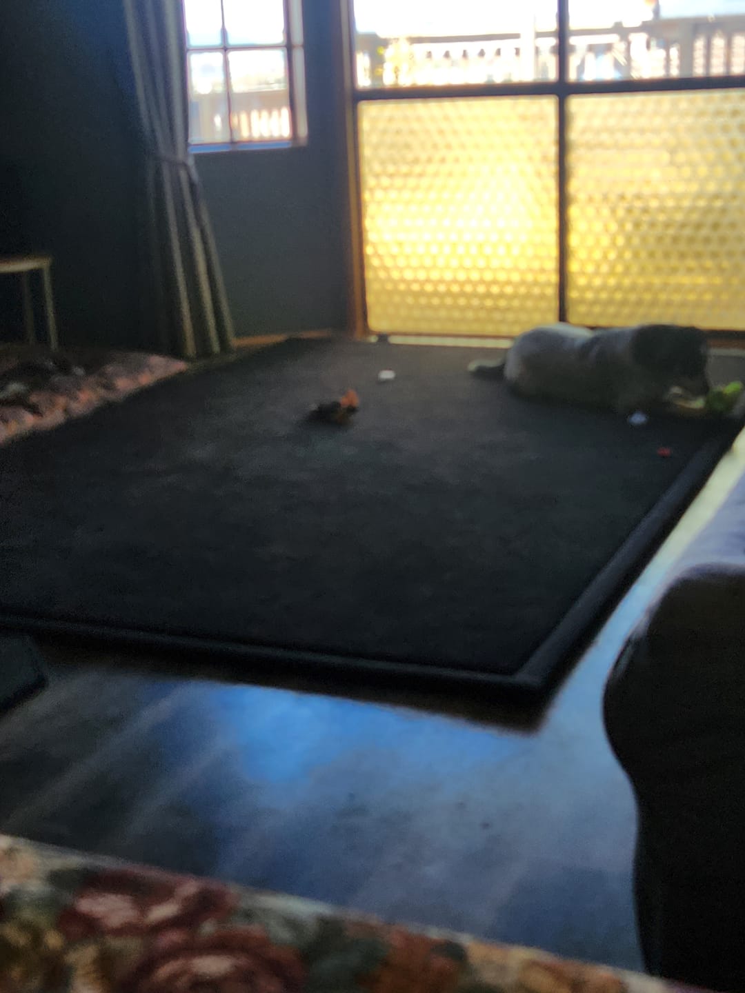 Customer photo review of Relax Mat - Soft Foam Play Mat