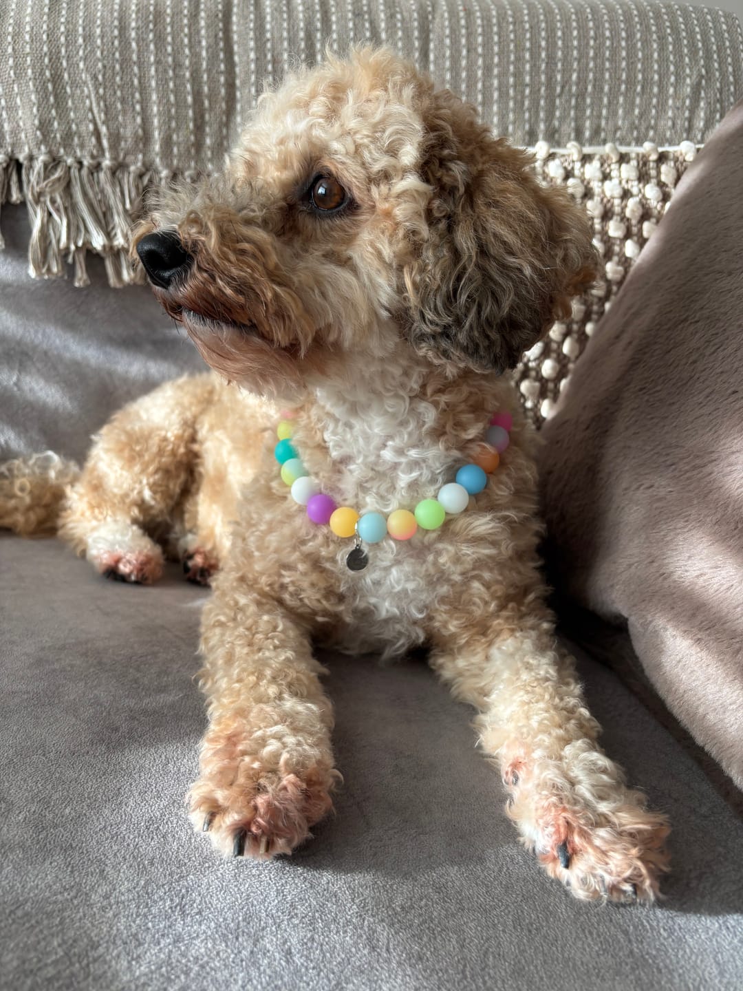 Customer photo review of Glow In The Dark Silicon Dog Necklace