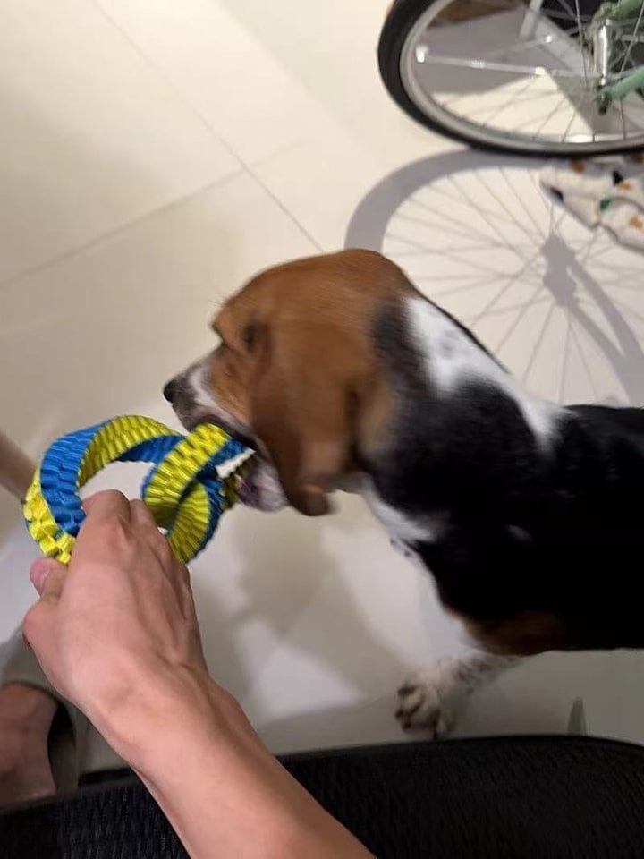 Customer photo review of Teeth Cleaning Ring