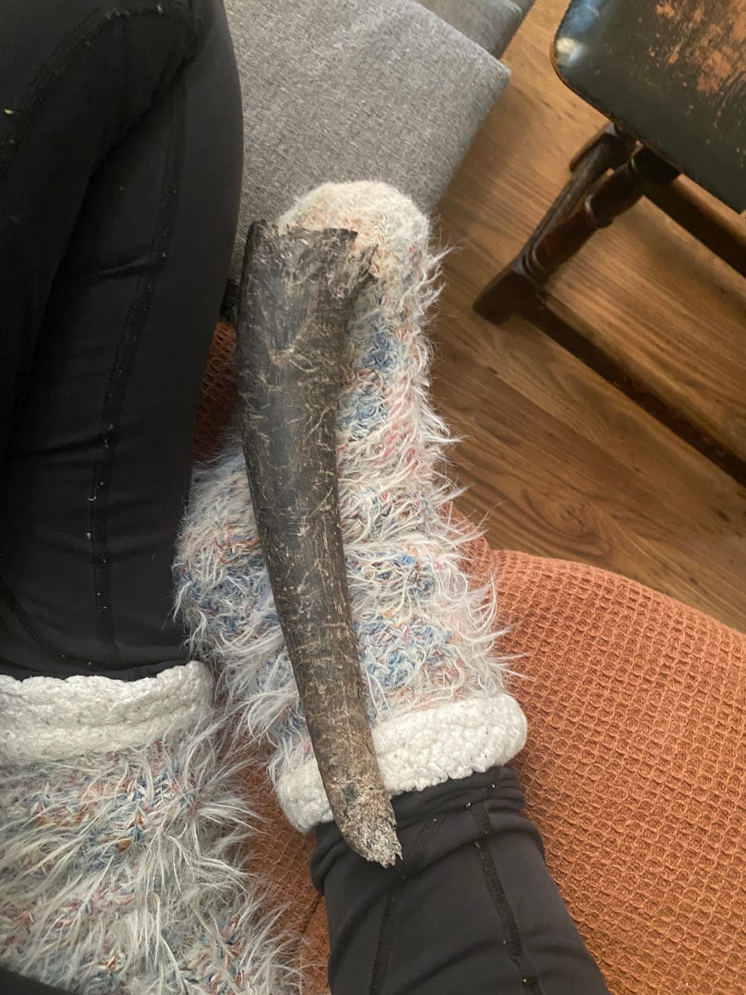 Customer photo review of Buffalo Horn Jumbo