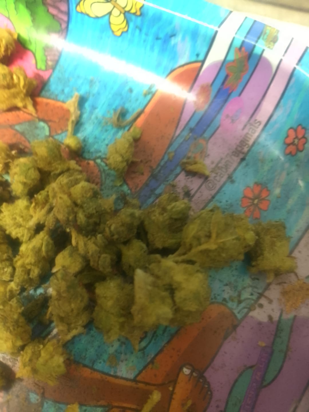 Customer photo review of White Gushers - 28 Grams - Hybrid