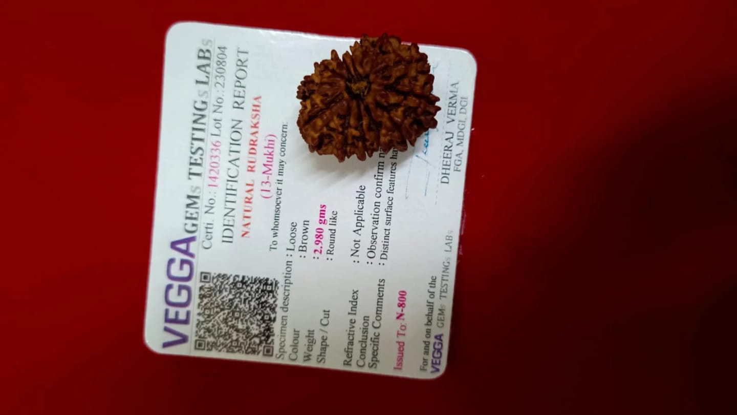 Customer photo review of Nepal Origin 13 Mukhi Rudraksha – 100% Natural & Certified