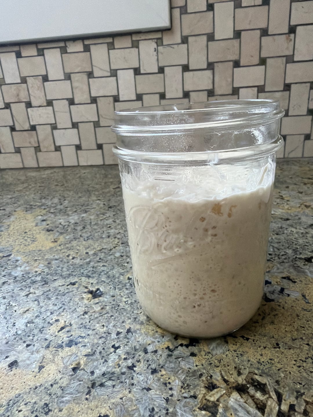Customer photo review of Little Ranch Family’s LIVE Organic 119 Year Old Sourdough Starter & Recipes