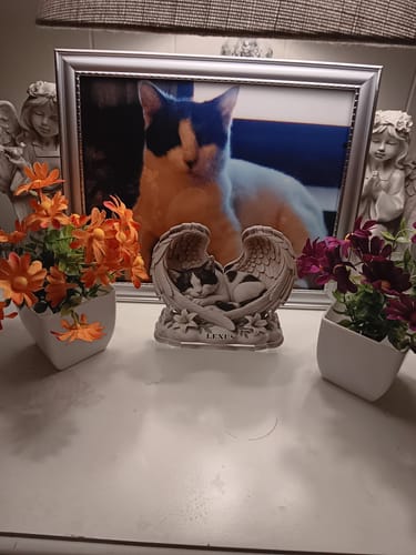 Customer's Custom Dog Cat Angel Wings Statue displayed on a shelf with framed photos and floral accents.