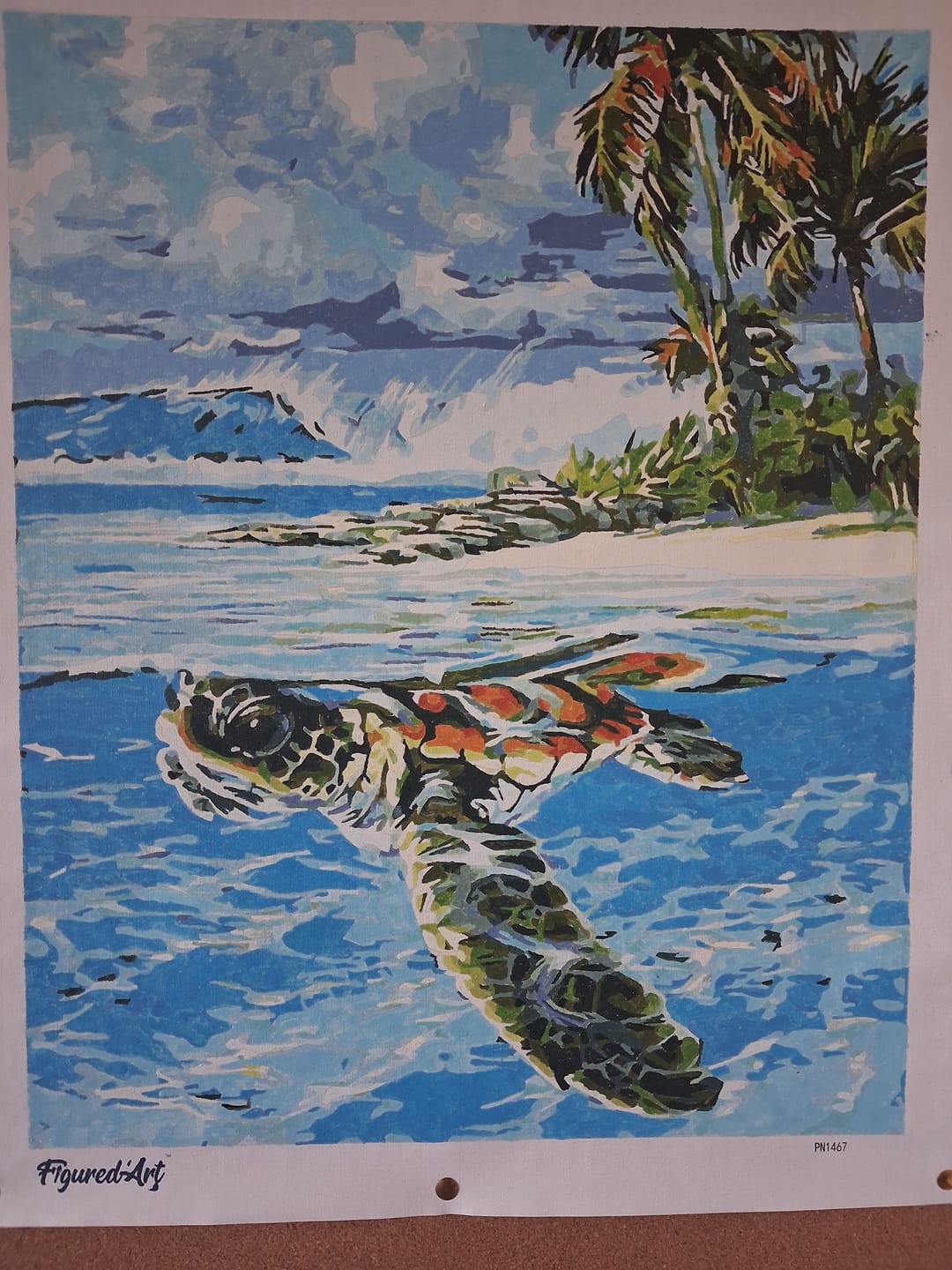 Customer photo review of Tortue détendue