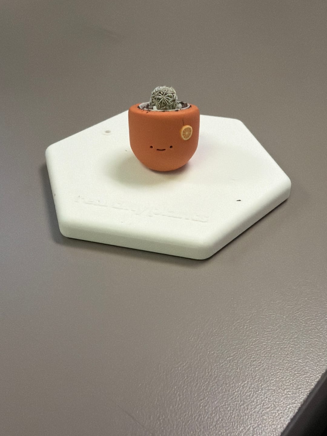 Customer photo review of Orange Dream