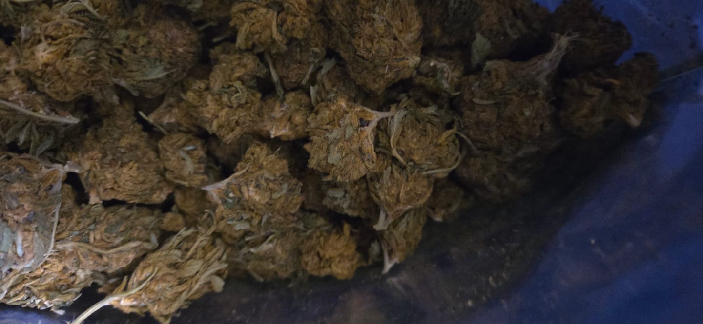 Customer photo review of Cheap THCA Flower Half Pound
