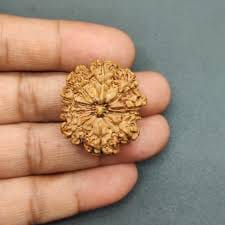 Customer photo review of Nepal Origin 10 Mukhi Rudraksha – 100% Natural & Certified