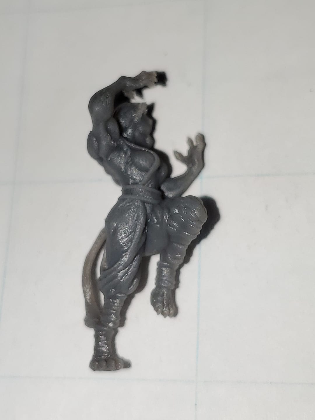 Customer photo review of Tabaxi Monk, Female