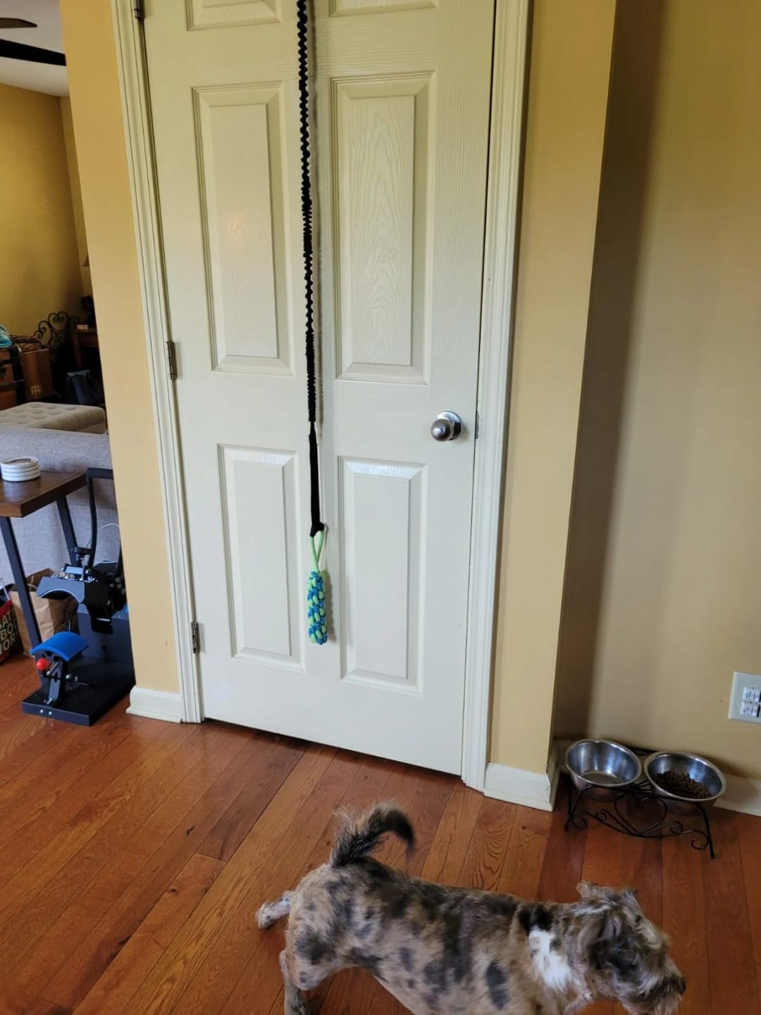 Customer photo review of FlexiPop™ - Juguete Bungee Interactivo