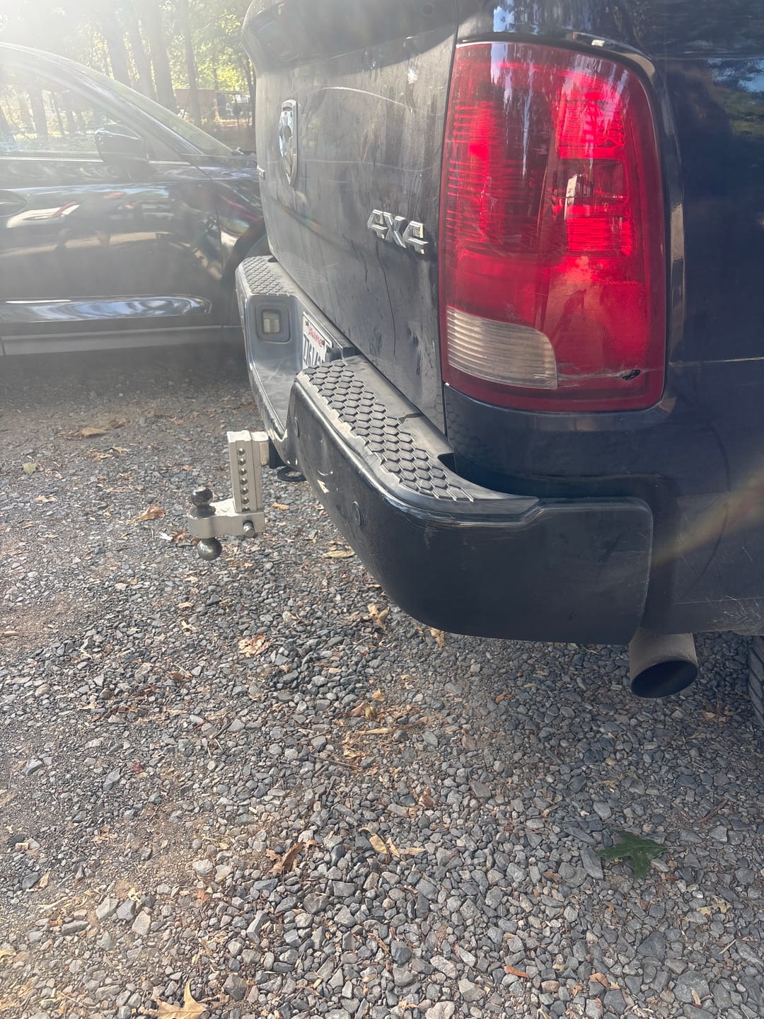 Customer photo review of Replacement Lock Pin