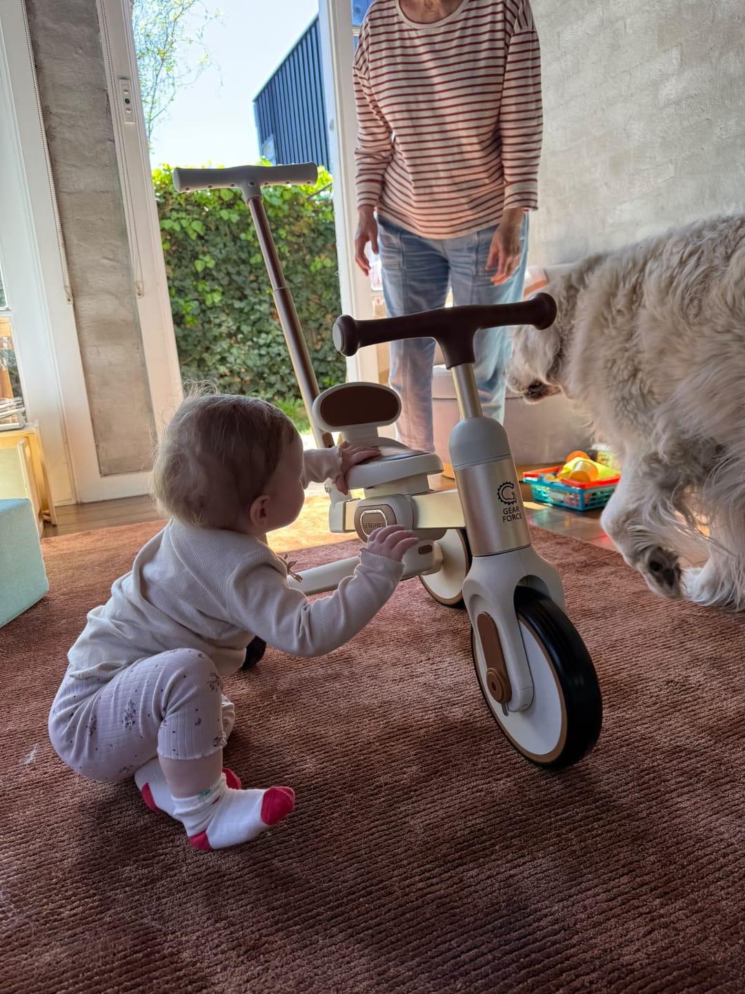 Customer photo review of Toddler Push Trike with Parent Handle 5-in-1 Kids Trike Balance Bike