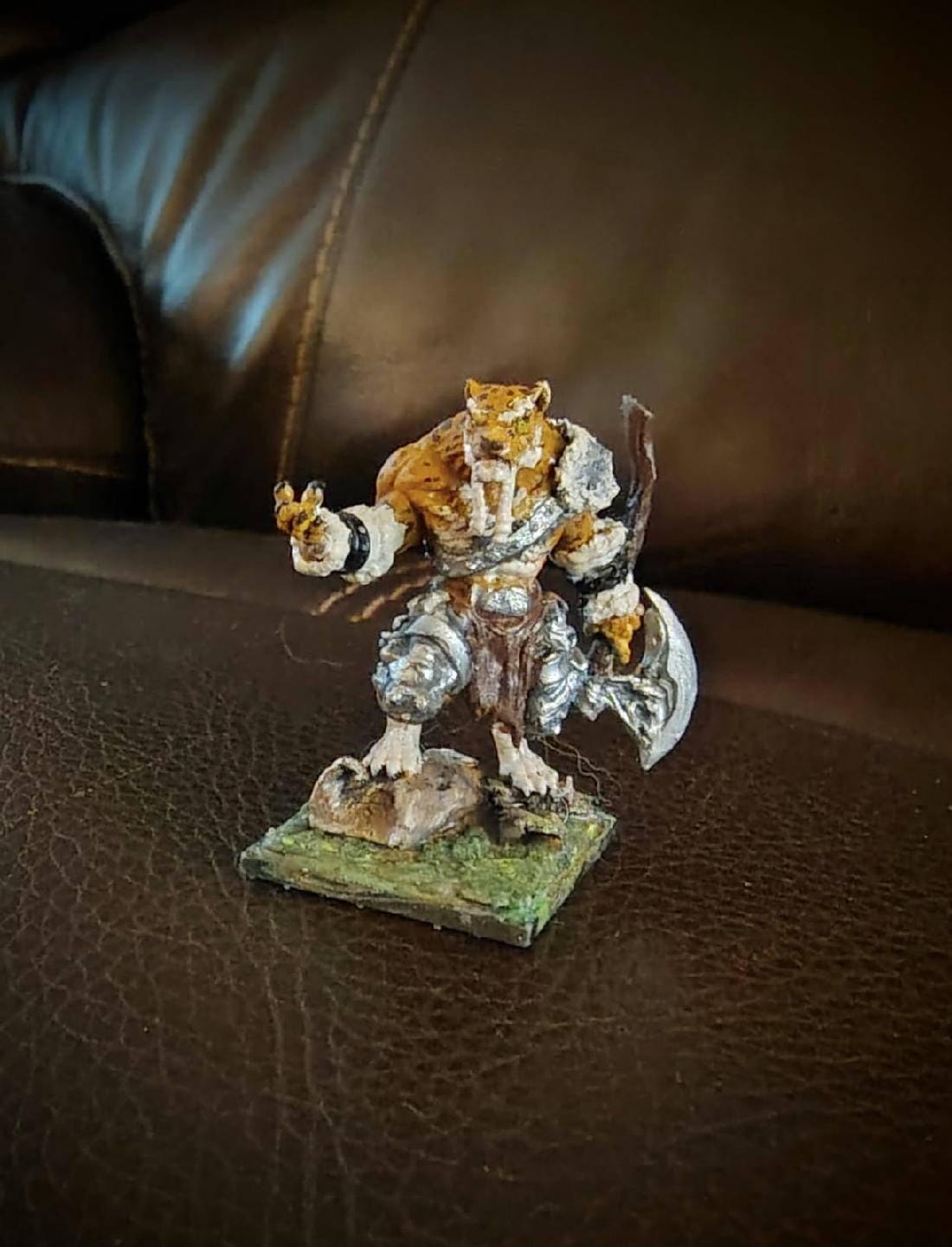 Customer photo review of Tabaxi Barbarian, Male