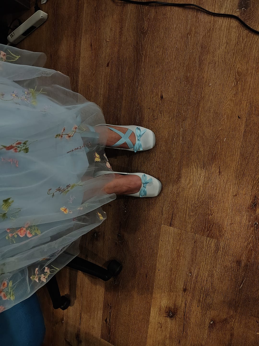 Customer photo review of Talons de Princesse & Vilain (Best sellers)