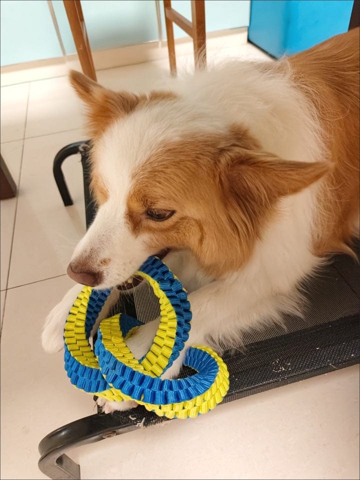 Customer photo review of Teeth Cleaning Ring