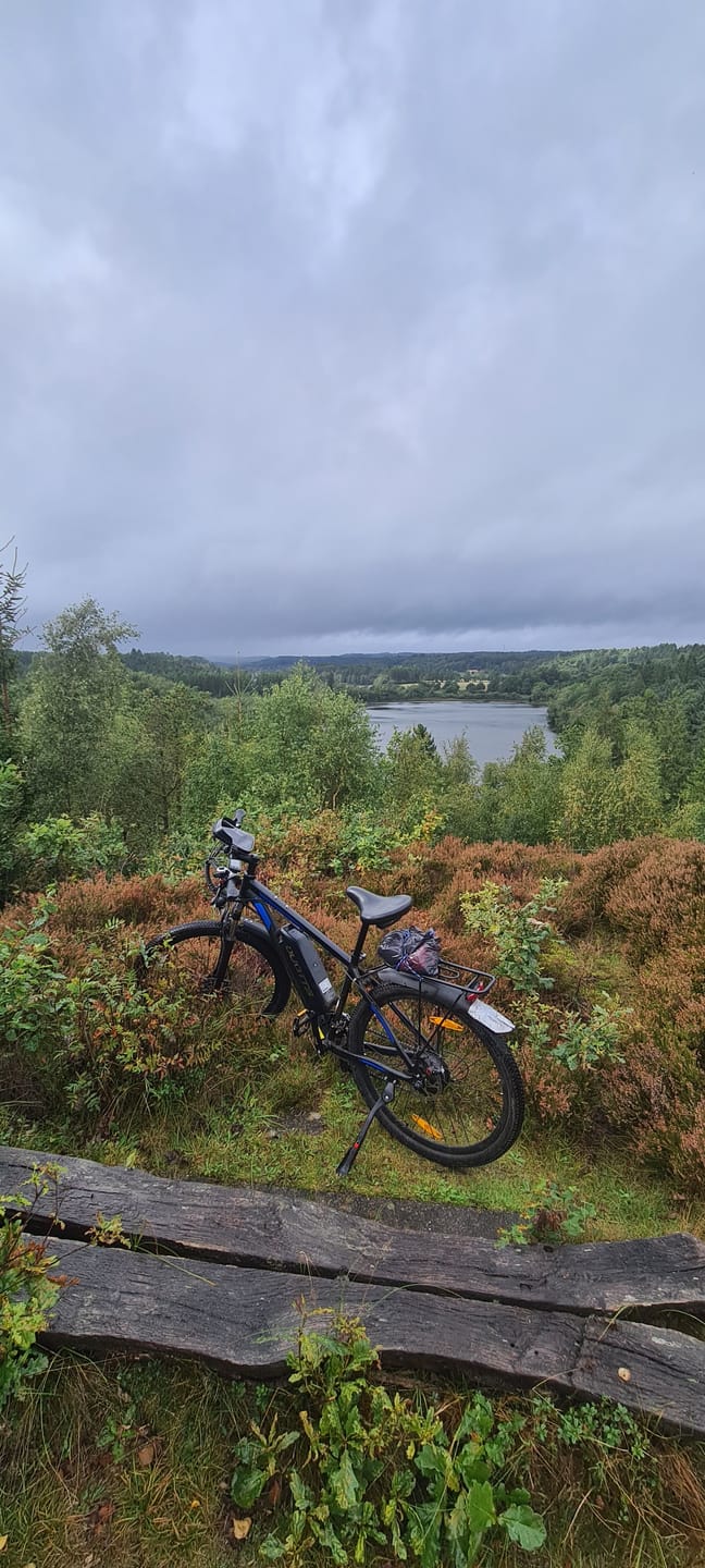 Customer photo review of Cycling Pack(Free gifts with E-bike purchase,includes mudguards,rear rack,and phone holder bag)