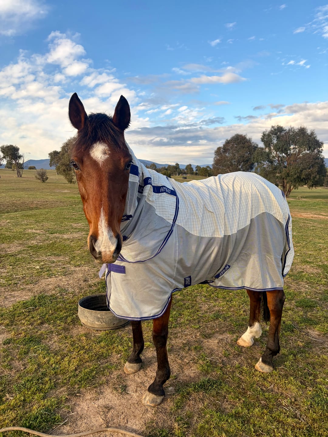 Customer photo review of Amigo Airflow
