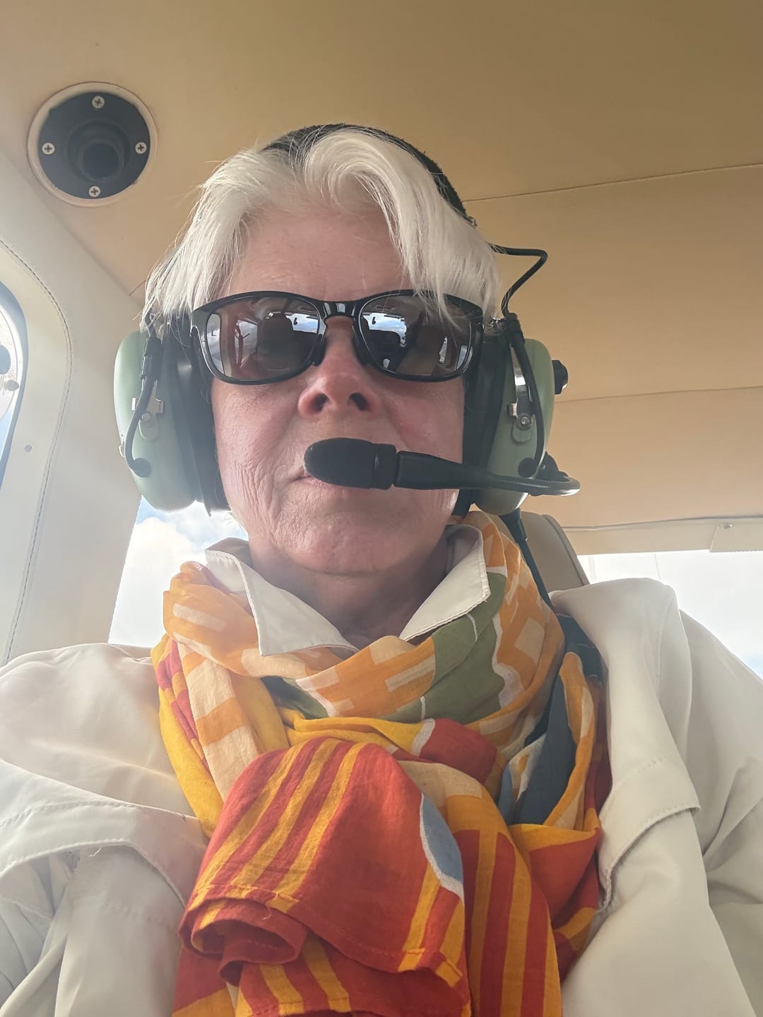 Customer photo review of Insect-Repellent Scarf—Lemons and Oranges