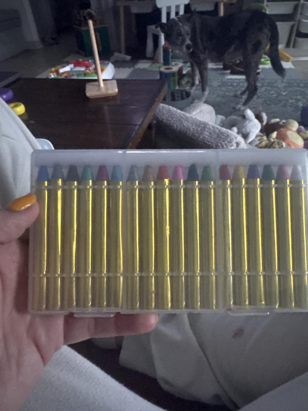 Customer photo review of Face & Body Paint Crayons