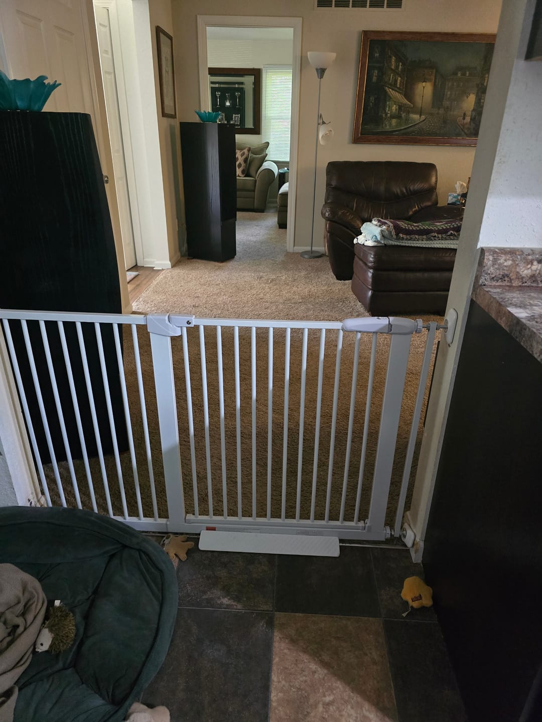 Customer photo review of FairyBaby 30" Tall Safety Gate with Narrow Bar Spacing