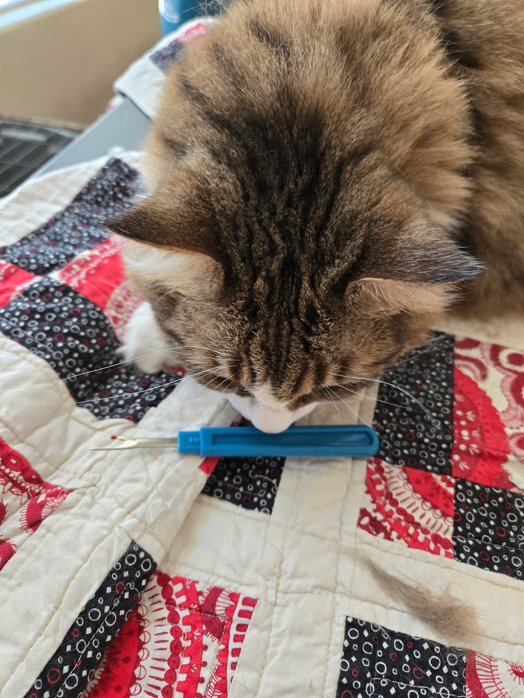 Customer photo review of Dritz Deluxe Seam Ripper