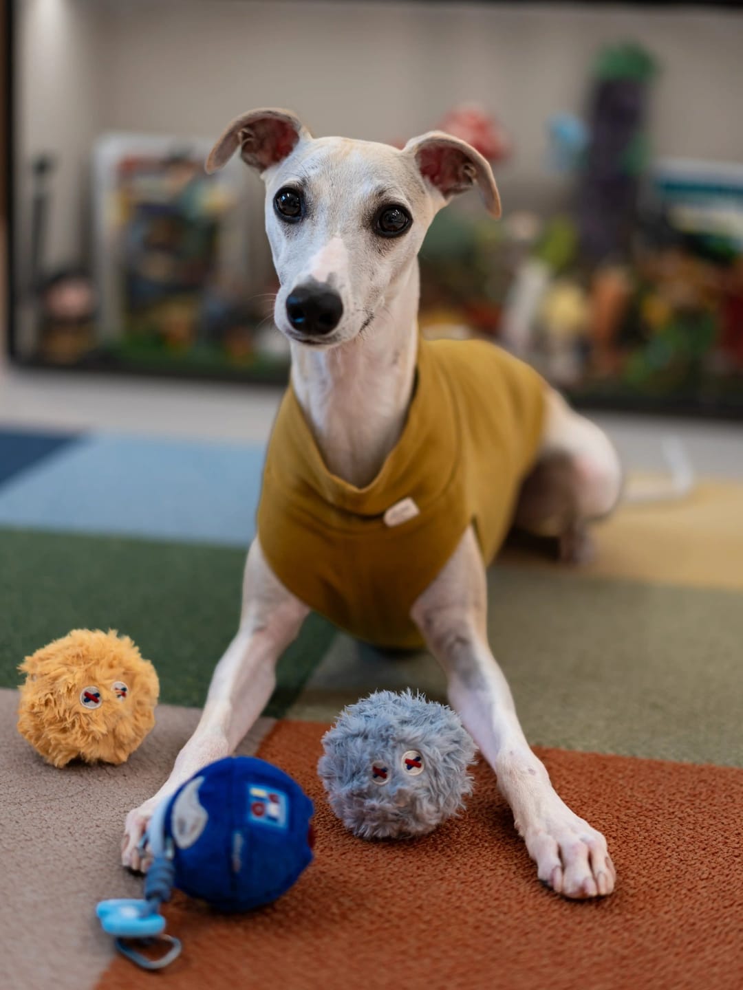 Customer photo review of Cairn Ball · Origin