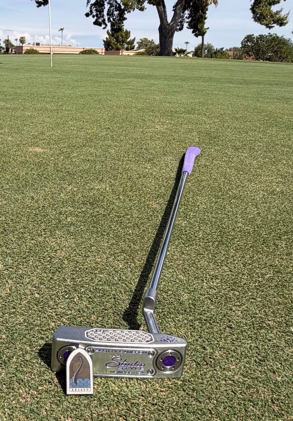 Customer photo review of The Vesper - Titanium Cathedral Marker