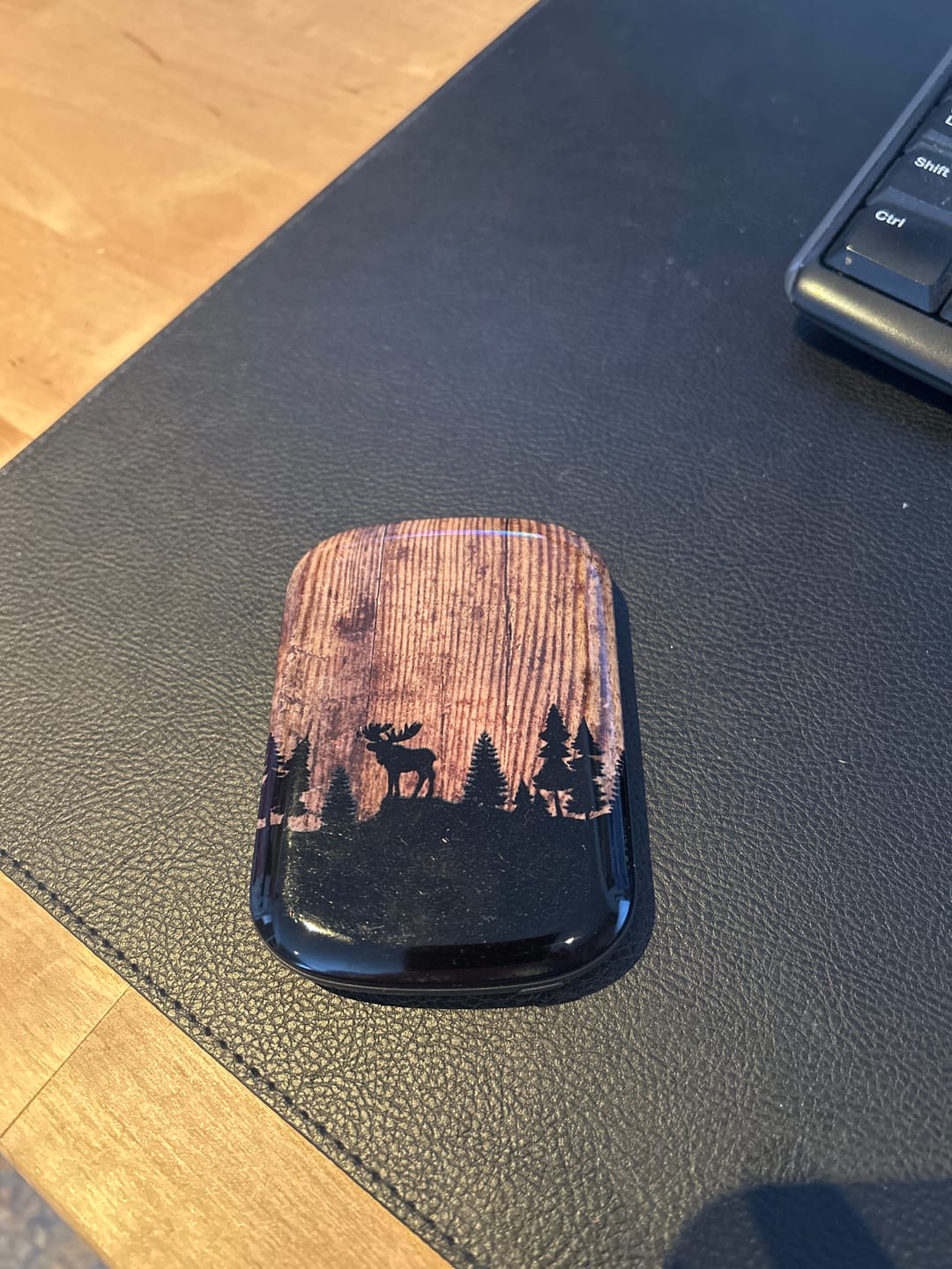 Customer photo review of The Moose ChargePod