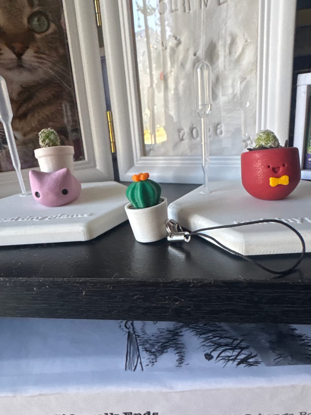 Customer photo review of Cactus Pal Keychain