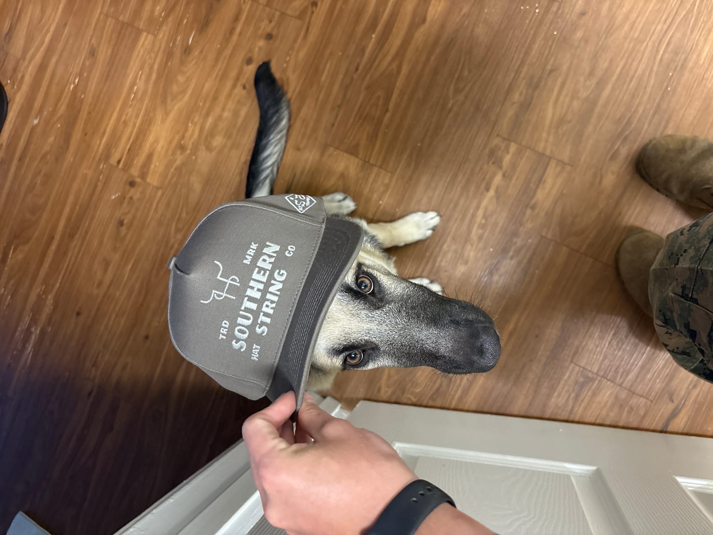 Customer photo review of Hat of the Month Crew | Join Here
