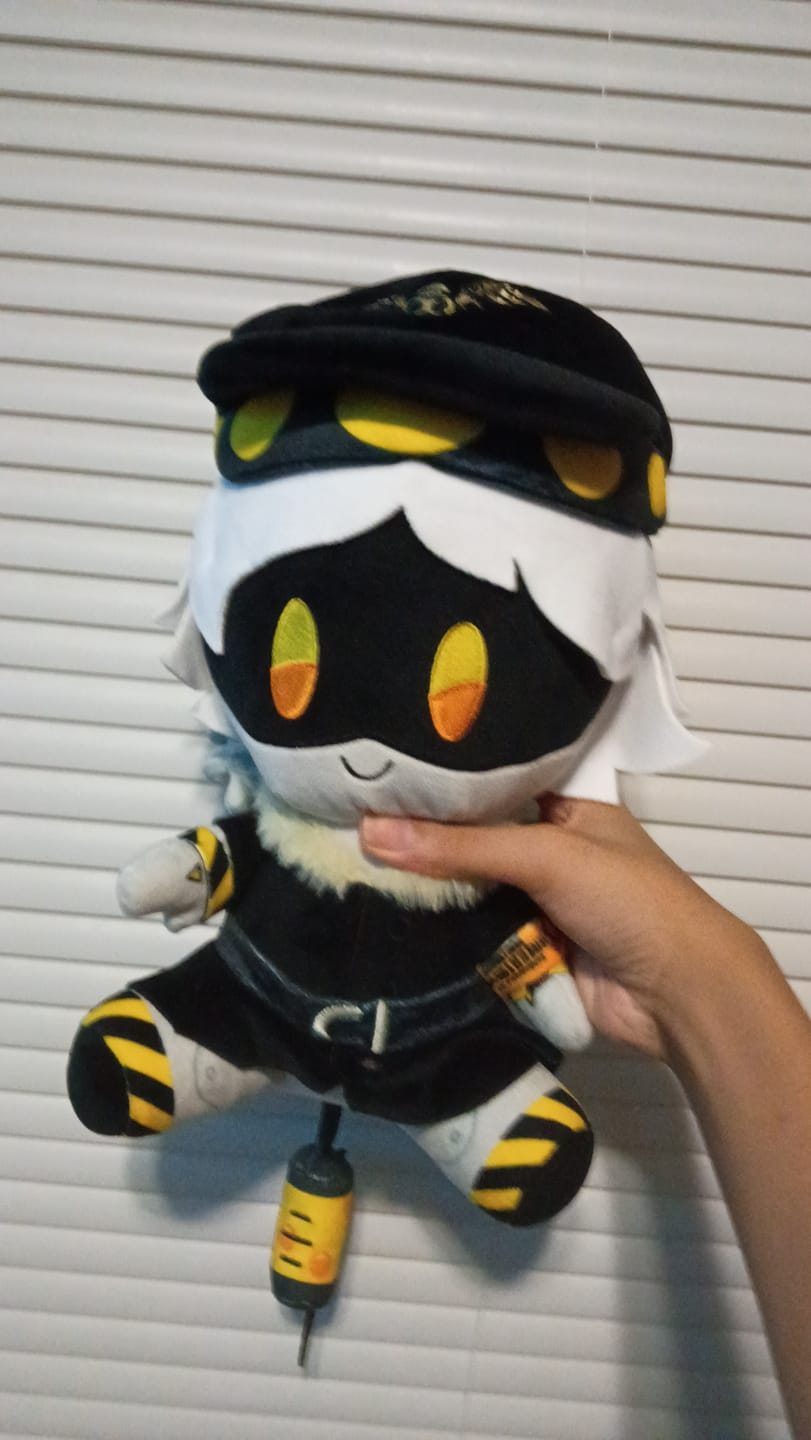 Customer photo review of N Plush