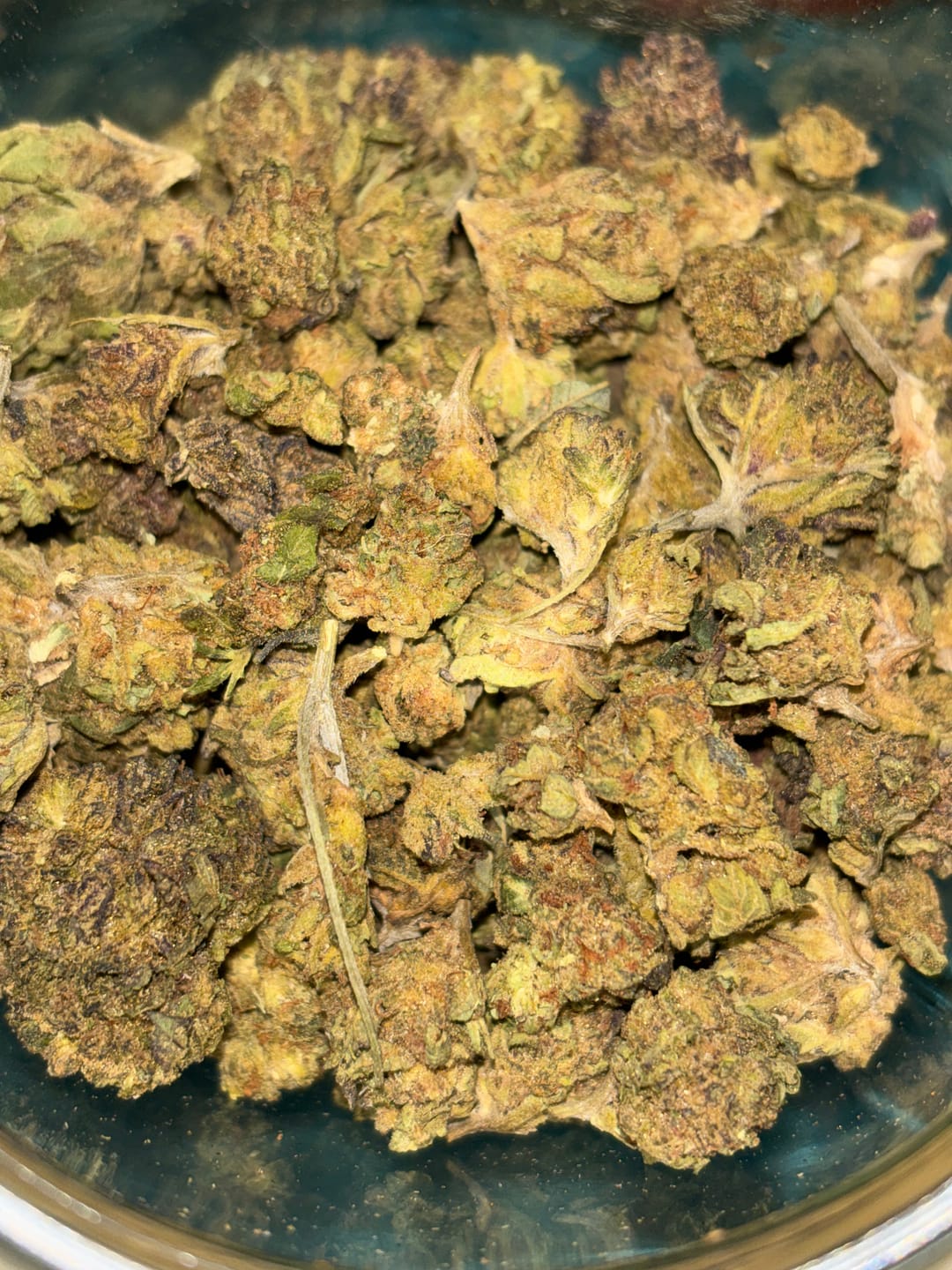 Customer photo review of Jelly Cake | THCA Flower