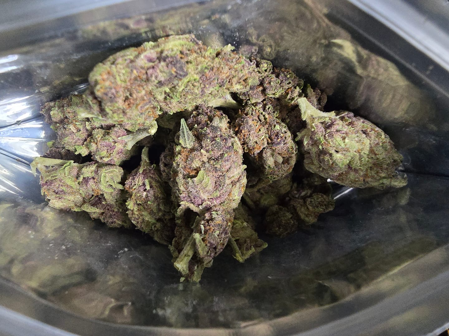 Customer photo review of Tropicana Cherry THCA Flower