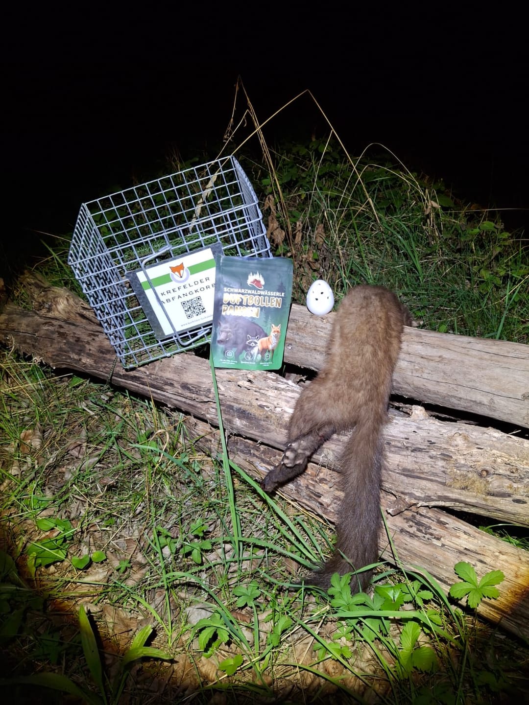 Customer photo review of Pansen Bollen - Lockmittel für die Fallenjagd und Schwarzwild