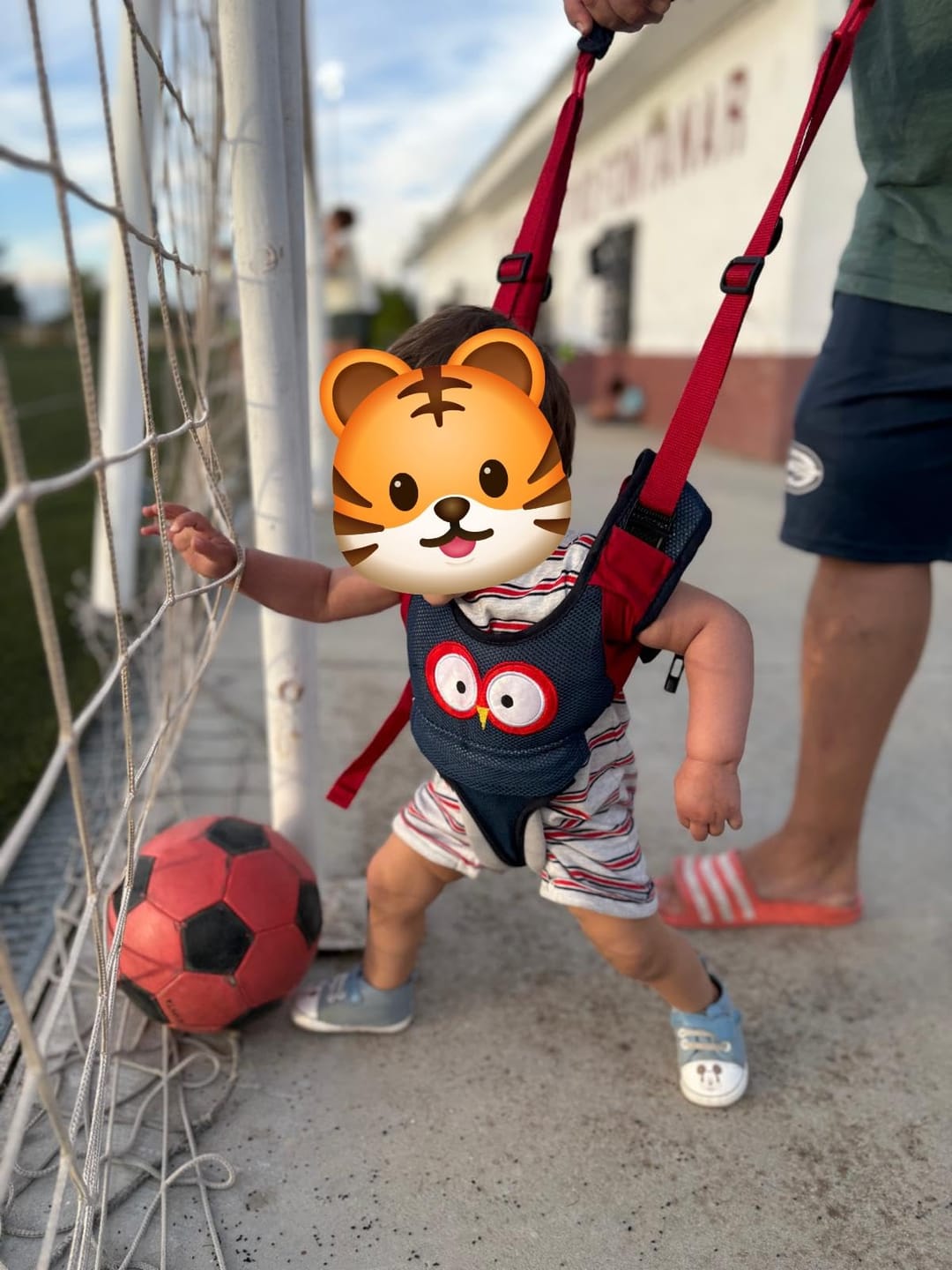 Customer photo review of Mosilio™ Arnés para Bebé