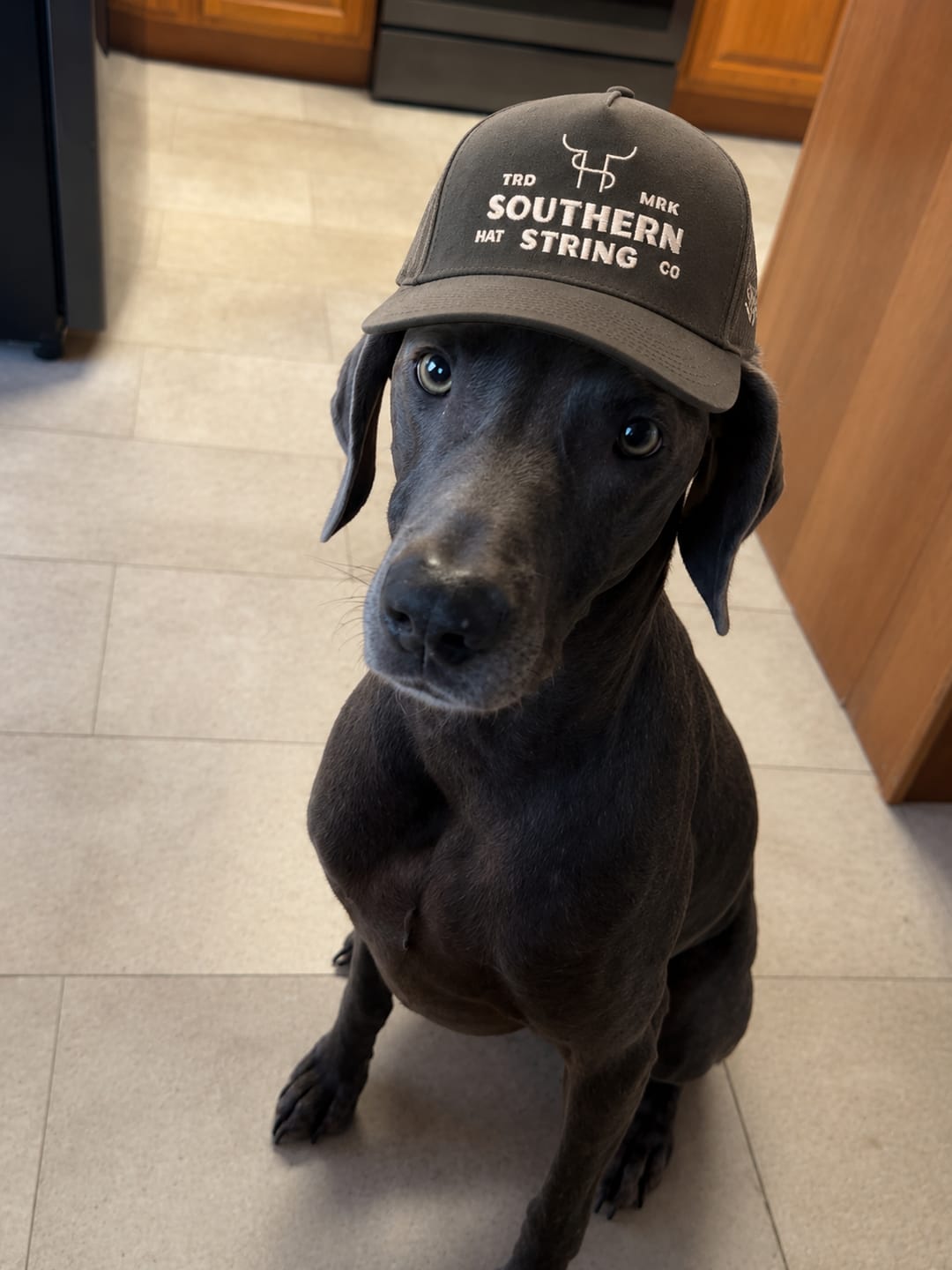 Customer photo review of Hat of the Month Crew | Join Here