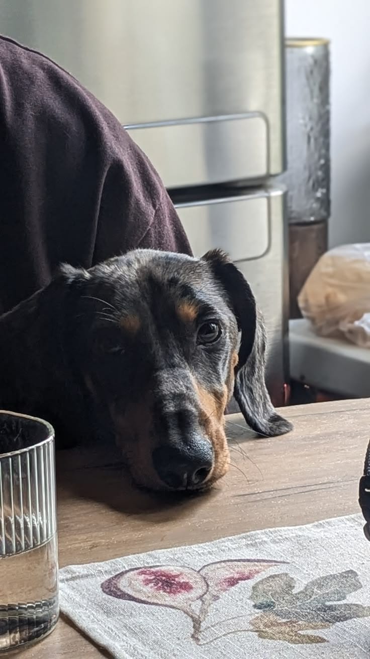 Customer photo review of Solo en Casa Sin Drama — Protocolo de 21 Días