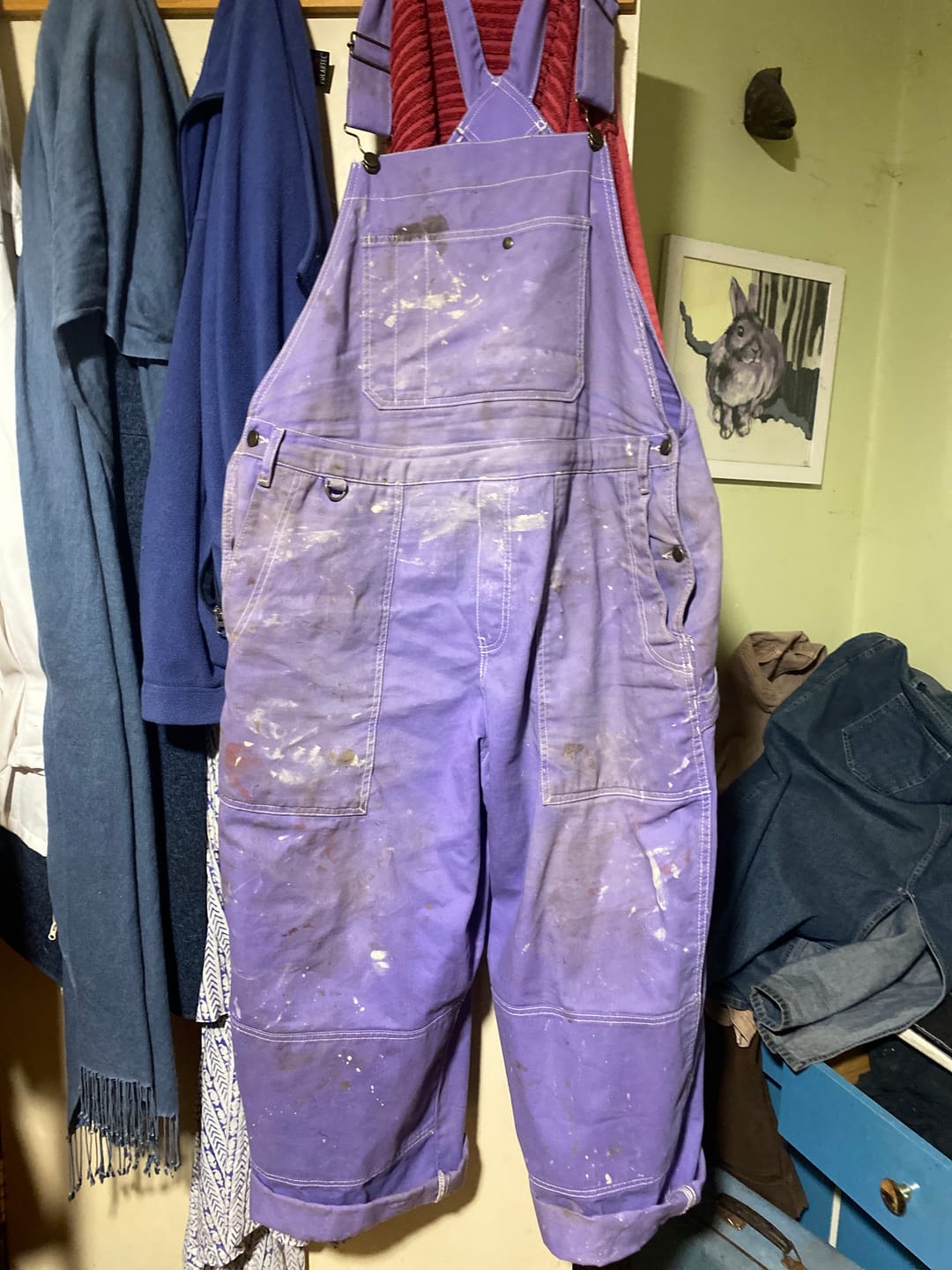 Customer photo review of Brumby Suit - Milky Way