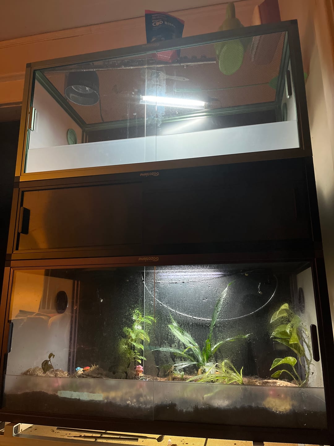 Customer photo review of 24 Gallon Reptile Enclosures 18x18x18" with Lock! Perfect for Beginner! Bottom NOT LEAKPROOF
