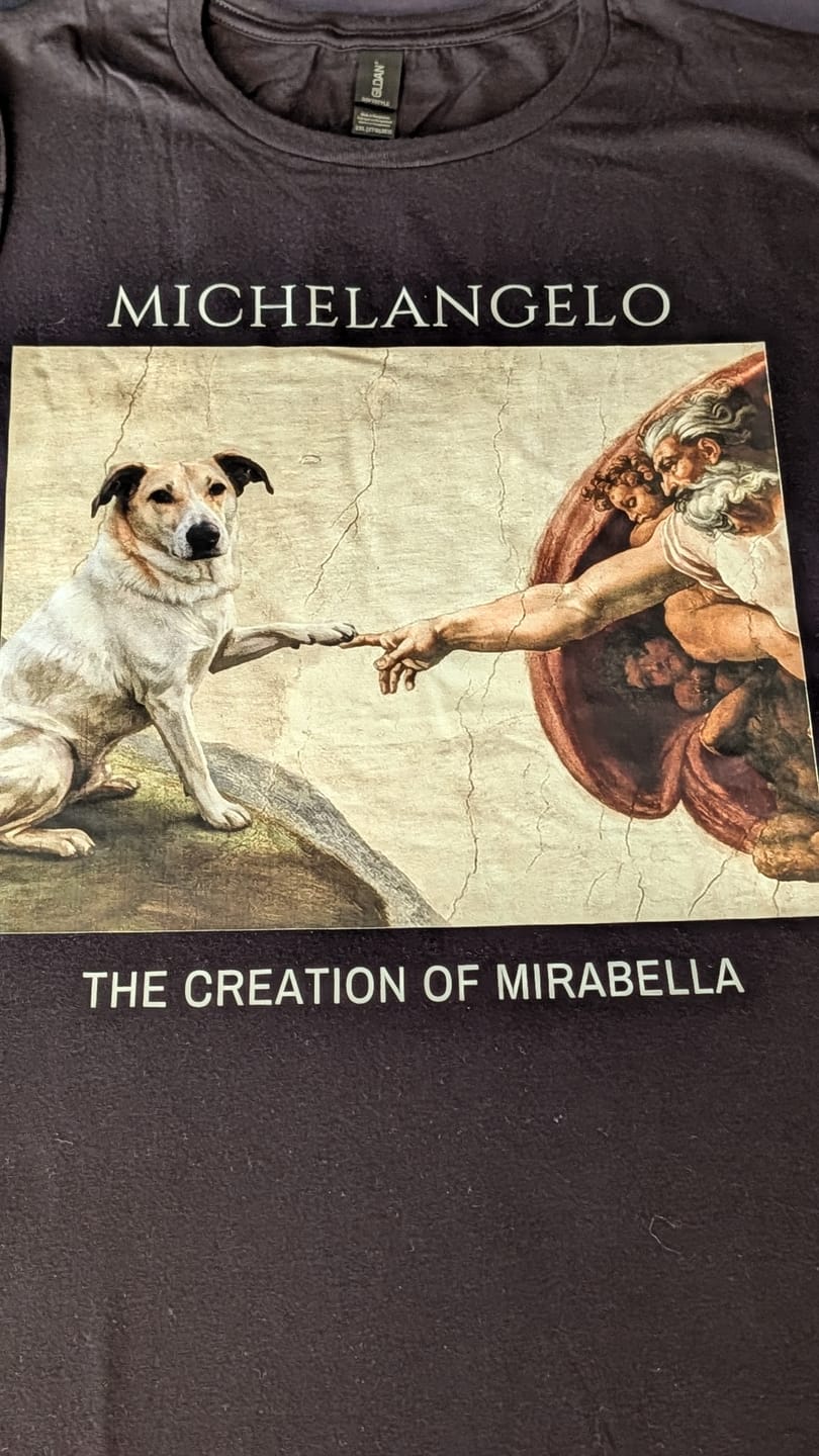 Customer photo review of Michelangelo Premium T-Shirt mit Hundename & Foto