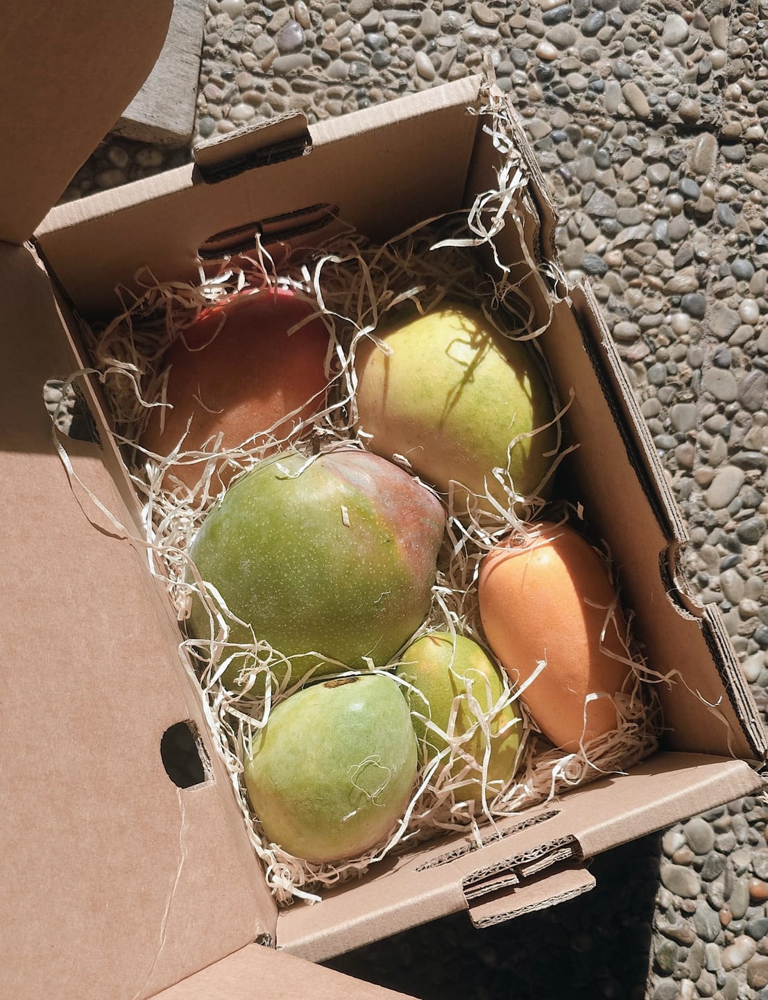 Customer photo review of Mango-Raritäten Mix von Julian Aktionswoche %