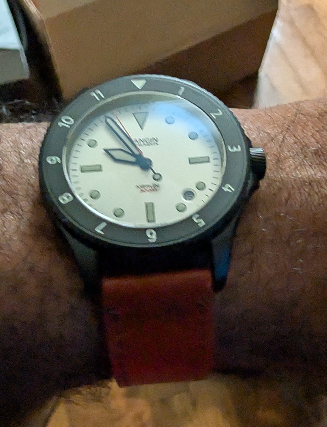Customer photo review of Merlin (Private Release)