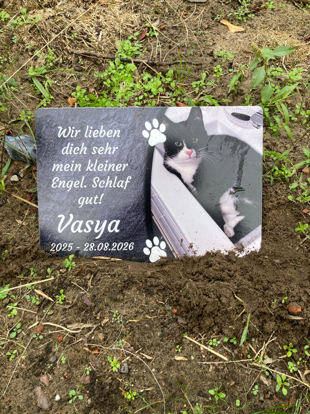 Customer photo review of Katzen Gedenktafel mit Foto & Spruch (UV- & Wetterfest)