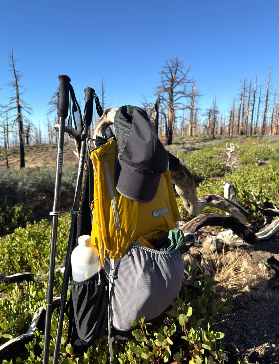 Customer photo review of Kumo 36 Backpack - Yellow